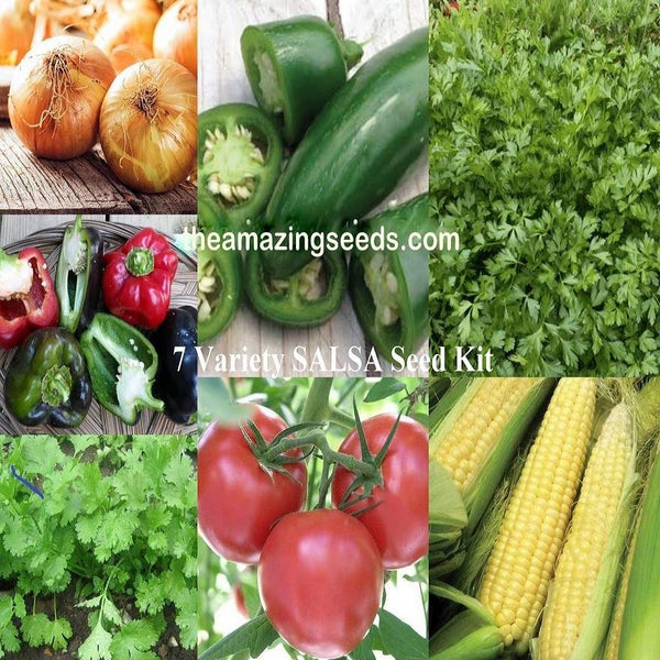 Mexican Salsa Vegetable Garden Starter Kit - Non-GMO Salsa Seeds