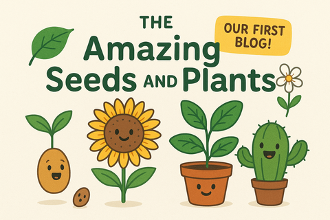 Welcome to The Amazing Seeds and Plants Blog