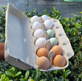 Pasture-Raised Farm Fresh Eggs 🥚🌱