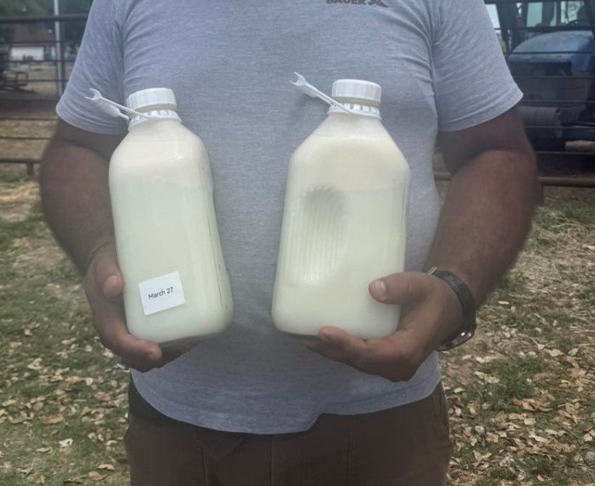 A2A2 Whole Raw Milk