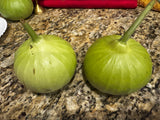 Round Bottle Gourd/ Dudhi/Lauki Seeds Upo or Opo Seeds