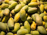 Grafted Mango Tree, Mallika, Super Alphonso, Dusari, Maha Schook, Nam Doc Mai
