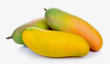 Grafted Mango Tree, Mallika, Super Alphonso, Dusari, Maha Schook, Nam Doc Mai