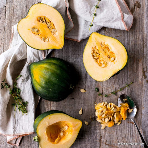 Heirloom Table Queen Winter Squash Seed