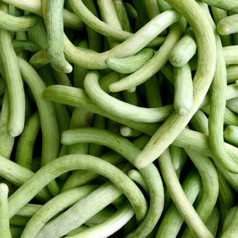 Cucumber Armenian, Yardlong Cucumber, Snake Melon, Slicing Cucumber, Heirloom Seeds