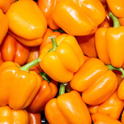 Pepper, California Wonder, Golden, Sweet Pepper, Heirloom Seeds