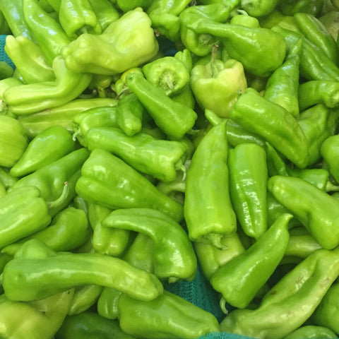 Pepper, CUBANELLE, Cuban Sweet pepper Heirloom Seed