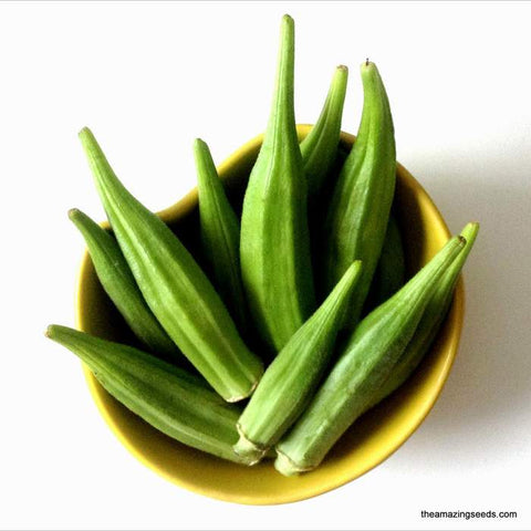 Heirloom Emerald Okra Seeds