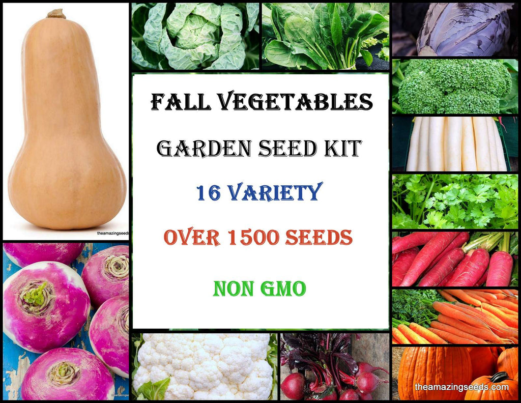 Fall Vegetables Garden Seeds Kit/ 16 variety Seeds Kit