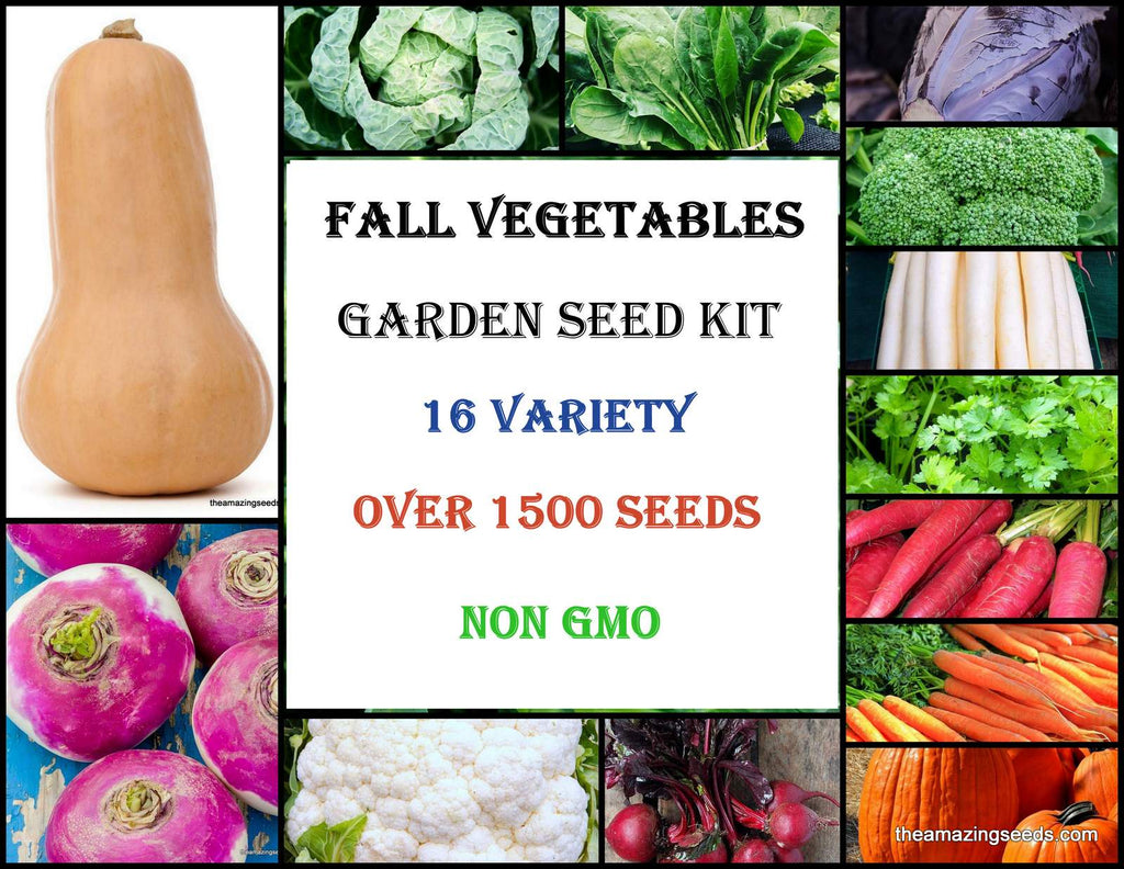 fall garden seeds Fall Vegetables Garden Seeds Kit/ 16 variety Seeds Kit