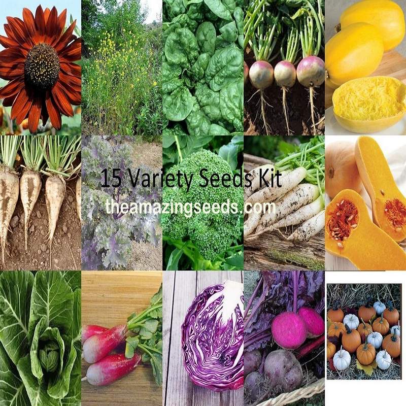 seeds for fall planting Heirloom Fall Garden Seeds Kit/ 15 variety Seeds Kit/ BEst gardening G – The Amazing Seeds