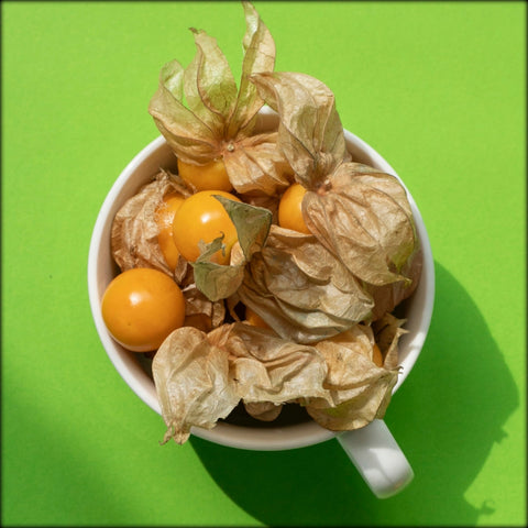 Organic, Aunt Molly’s Ground Cherry, Heirloom Seeds