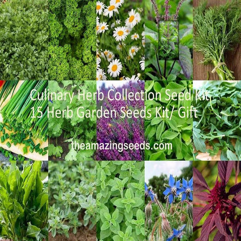 Vegetable Seeds Kit Harvest handpicked Self Sufficient – The Amazing Seeds