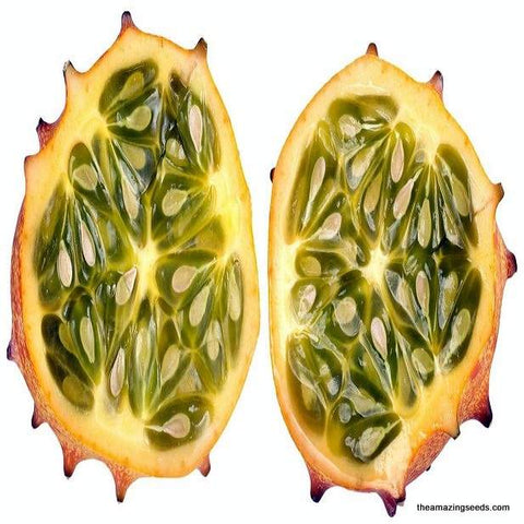 Organic Jelly Melon Cucumber, Kiwano, African Horned Cucumber