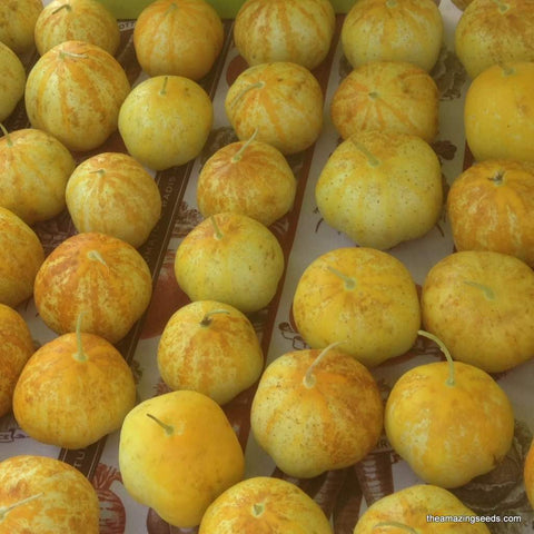 Heirloom Lemon Cucumber Seed