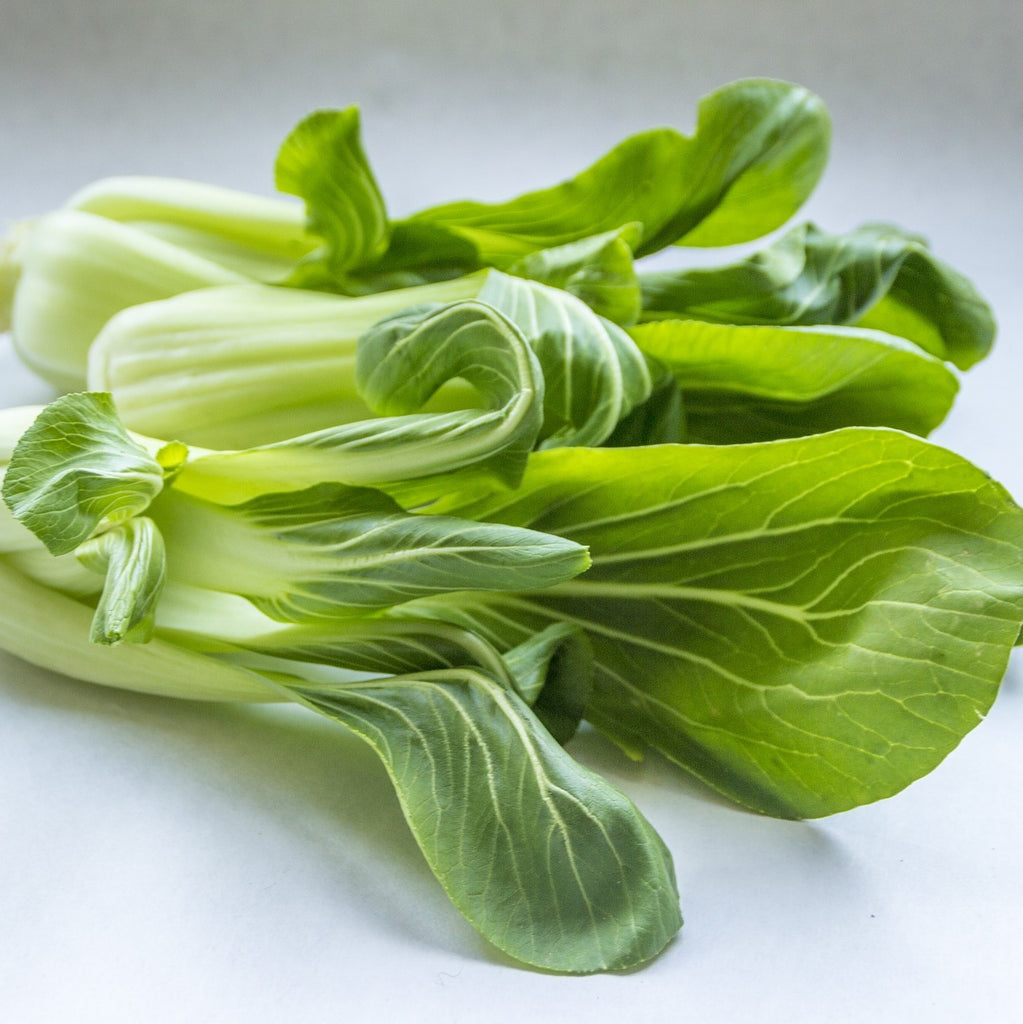 Pak Choi, Bok choy, Pok choi, Tatsoi, White Stem Chinese cabbage, Leafy Vegetable