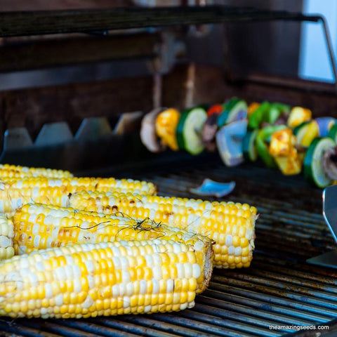 Corn, Peaches And Cream Hybrid Bicolor Sweet Corn, Heirloom Seeds