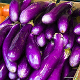 Eggplant Long Purple, Italian, Heirloom Seeds