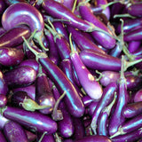 Eggplant Long Purple, Italian, Heirloom Seeds
