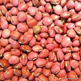Red Ripper Cowpeas Beans Seeds