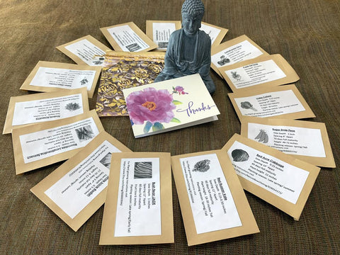 1500+ Seed Pack with Gift Options .Organic,NonGMO,Heirloom and Open Pollinated.