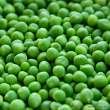 Peas, Thomas Lexton, Nitrogen Fixer, Microgreens, Heirloom Seeds