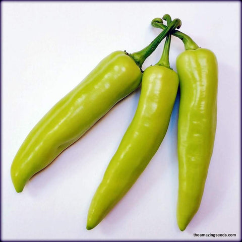 Pepper, Sweet Banana, OP Seeds