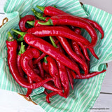 Heirloom Cayenne Long Red Thin Hot Pepper Seed