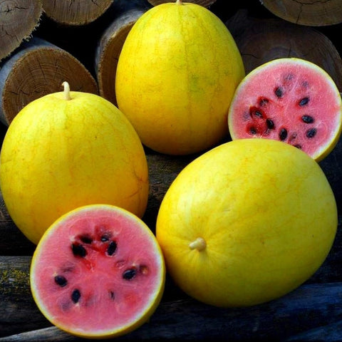 Organic, Watermelon Golden Midget