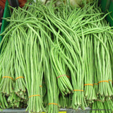Green Yard Long, Black Seed, Asparagus beans, Chinese Long beans Seed