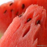 Watermelon, Charleston Grey, Heirloom Seed