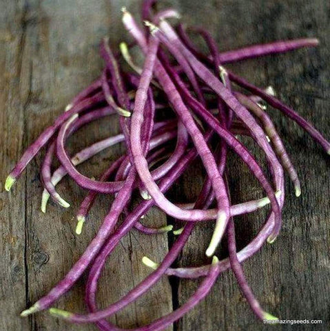 Yard Long Bean, MOSAIC seeds, Chinese Asparagus Seeds
