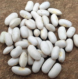 Beans, SLENDERETTE, Green Bush Bean, Heirloom Seeds