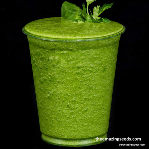 Parsley, Tripled Curled, Heirloom Seed