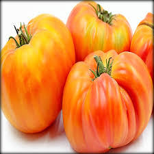 Organic Striped German Tomato Seeds