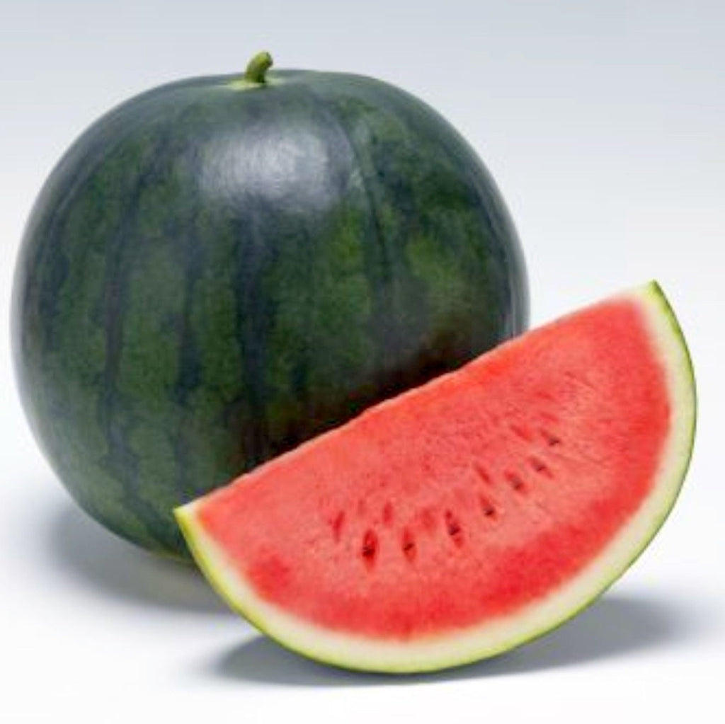 Sugar Baby Watermelon Citrullus Lanatus Sugarbaby Watermelon The Sugar Baby Watermelon Citrullus Lanatus Sugarbaby Watermelon The