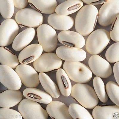 Sword Bean, Shironata Mame, Japanese, Valavara Valamara or Valpayar, Segapputampatta, Tammi kaya, Jack Bean